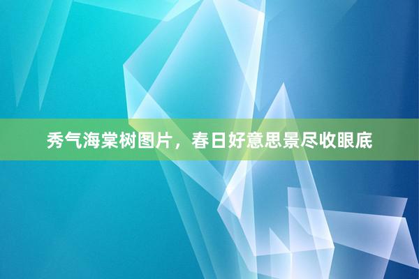 秀气海棠树图片，春日好意思景尽收眼底